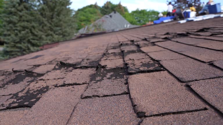 Best Asphalt Shingle Roofing  in Avoca, IA