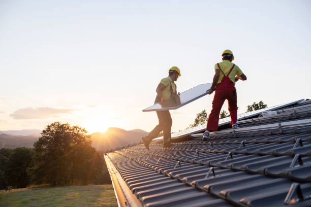 Best Roof Ventilation Installation  in Avoca, IA