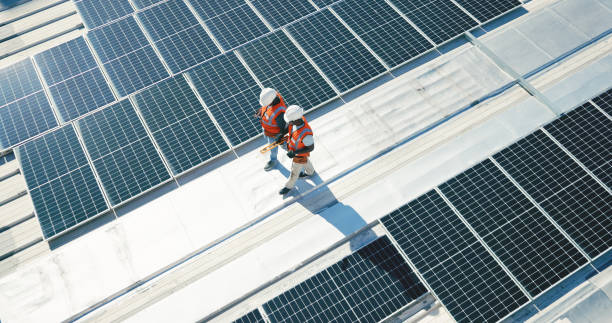 Best Roof Maintenance and Cleaning  in Avoca, IA