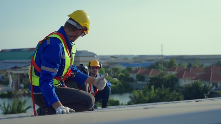 Best Steel Roofing  in Avoca, IA