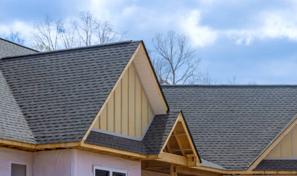 Best Skylight Installation and Repair  in Avoca, IA