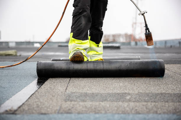 Best Roof Coating and Sealing  in Avoca, IA