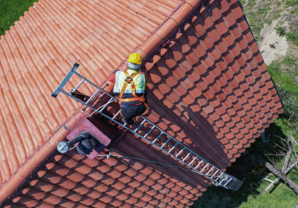 Best Roof Repair  in Avoca, IA